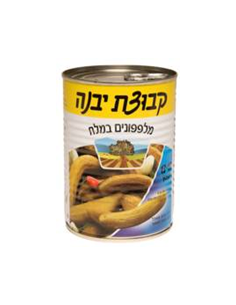 YAVNE Cornichons au sel 13/17 small