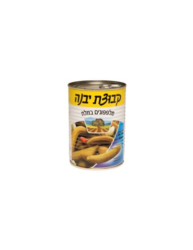 YAVNE Cornichons au sel 13/17 small
